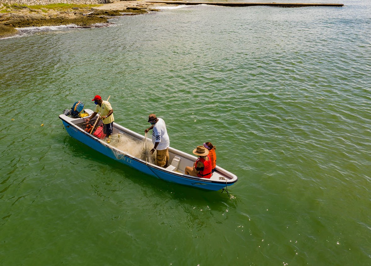 viajero-independiente1